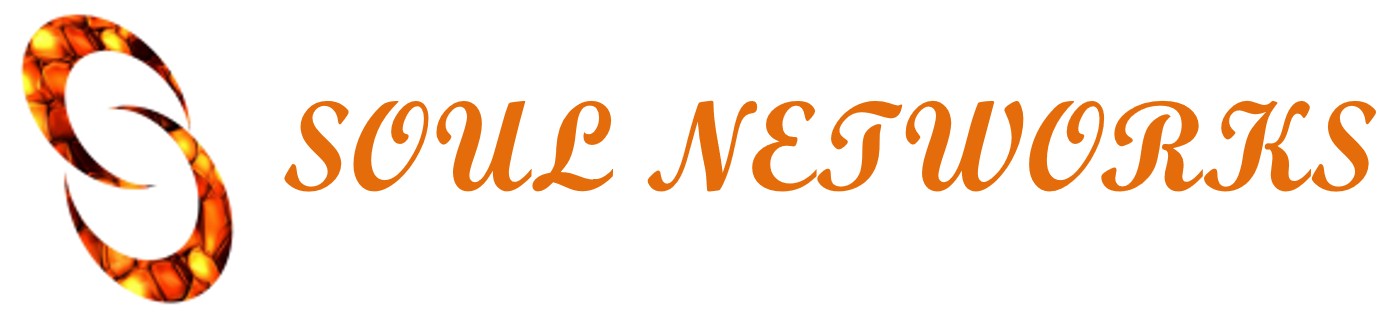 SOUL NETWORKS Logo